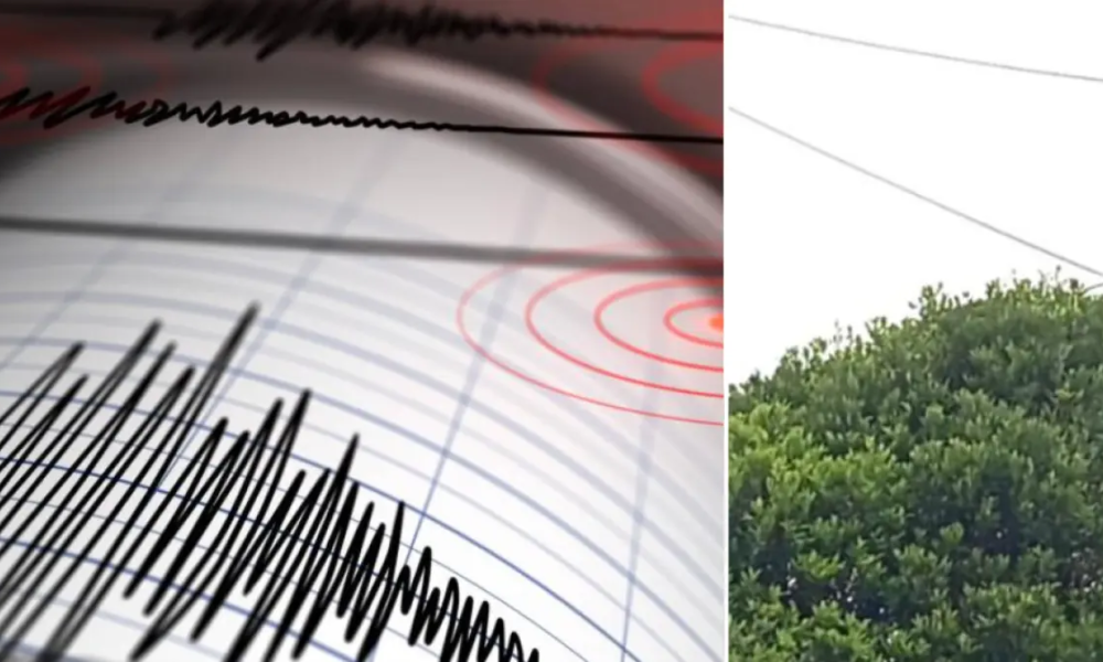 Las Recomendaciones para Prevenir Riesgos Eléctricos Antes, Durante y Dispués de Un Sismo: Lo Que DeBer Saber