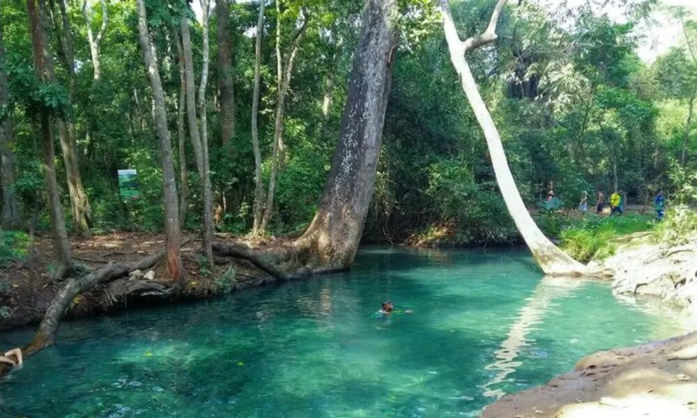 Cañavera se opone a Mina de Carbón a Cielo Abierto que Amenaza Su Manantial en el Sur la Guajira