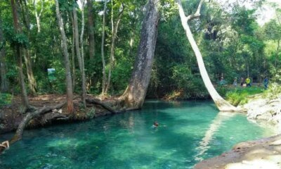 Cañavera se opone a Mina de Carbón a Cielo Abierto que Amenaza Su Manantial en el Sur la Guajira