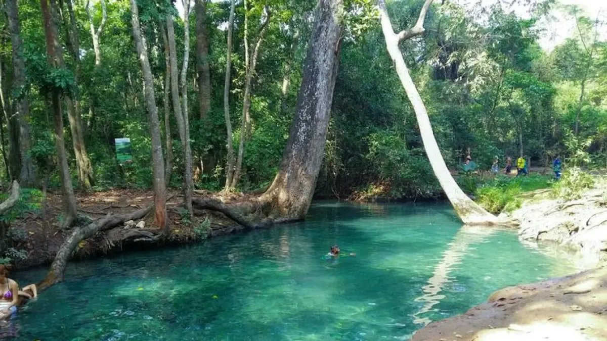 Cañavera se opone a Mina de Carbón a Cielo Abierto que Amenaza Su Manantial en el Sur la Guajira