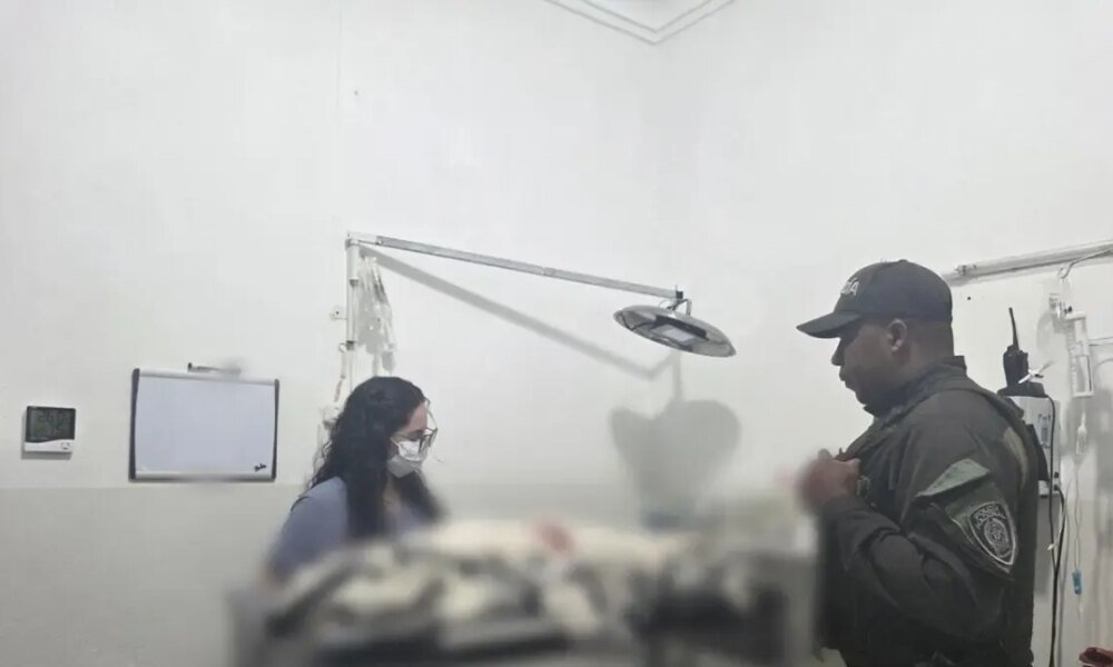 Mató a un canino con arma blanca