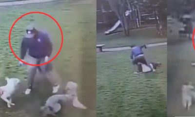 Violenta Agresión en Parques del Pinar, en Bogotá: Sujeto Golpeó A Mujer Tras Reclamo Por Ataque A Su Perro