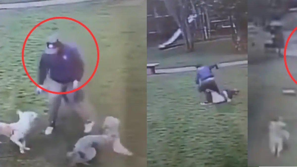 Violenta Agresión en Parques del Pinar, en Bogotá: Sujeto Golpeó A Mujer Tras Reclamo Por Ataque A Su Perro