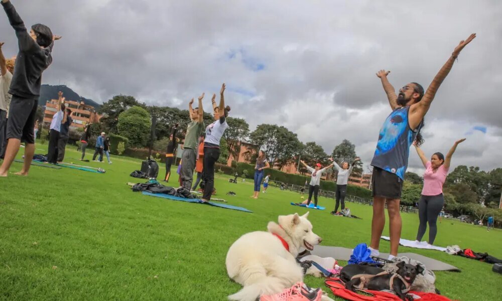 Así Va la Agenda Cultural de Este Fin de Semana en Bogotá