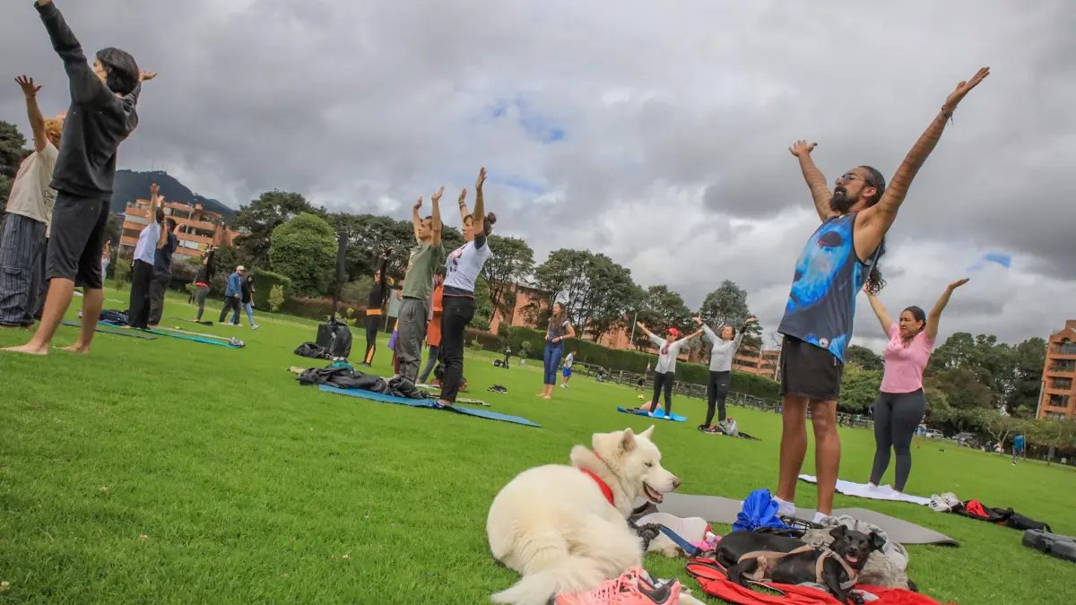 Así Va la Agenda Cultural de Este Fin de Semana en Bogotá