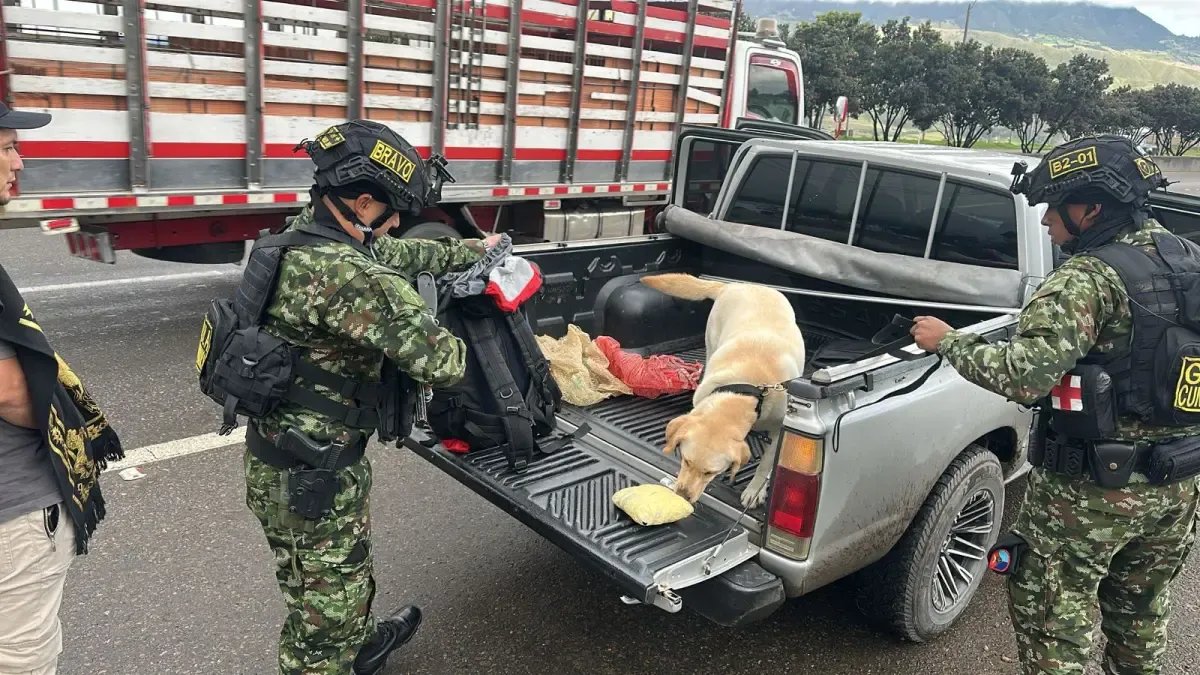 EJército y fiscalìa incautan o kilos de cocaìna en usme