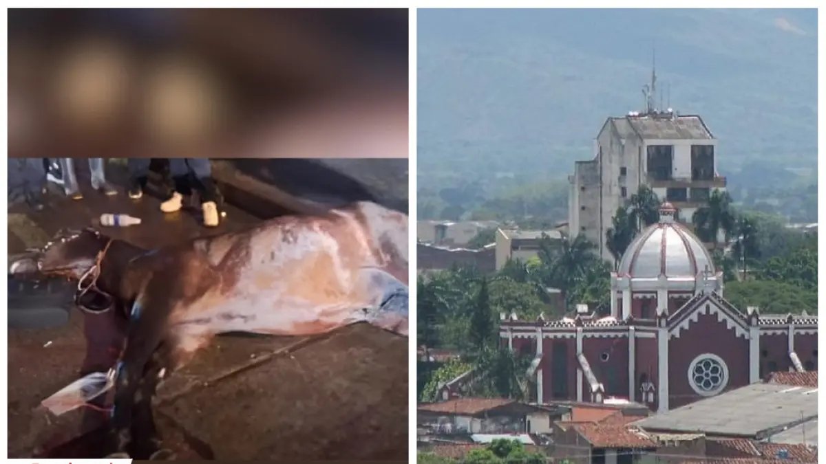 Un Caballo Murió por infarto en la Calle; Van 3 Años con Muertes de Equinos
