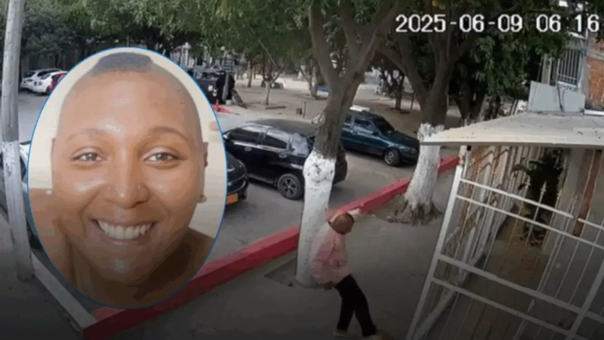Justicia aplica por Primera Vez la Ley Contra El Maltrato Animal en Santa Marta