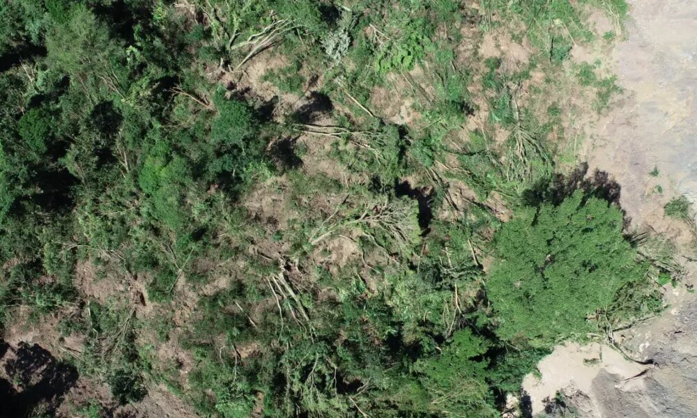 La Vereda que Casi Desaparece por Deslizamiento Tras Temblor en Paratebueno: Familias Serán Reubicadas