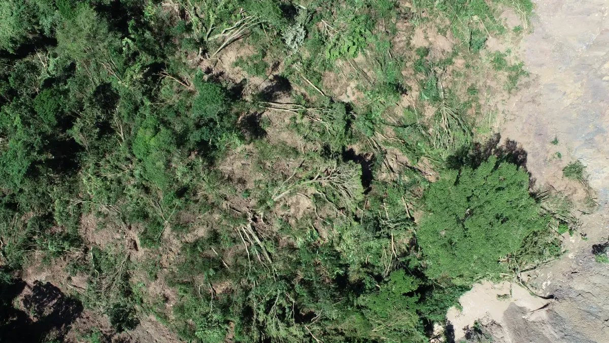 La Vereda que Casi Desaparece por Deslizamiento Tras Temblor en Paratebueno: Familias Serán Reubicadas