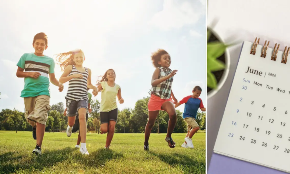 Más de 100 actividades artísticas, científicas y recreativas en bogotá