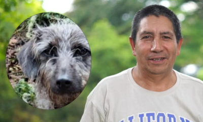 Perrita lo acompañón Hasta El Final