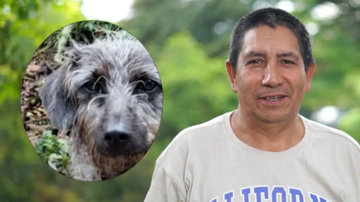 Perrita lo acompañón Hasta El Final