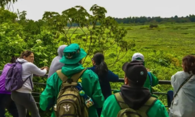 Plan de pecado? Aproveche Las Vacaciones de Mitad de Año 2025 Con Las Caminatas Ecológicas que OfRece Bogotá: PrográMese