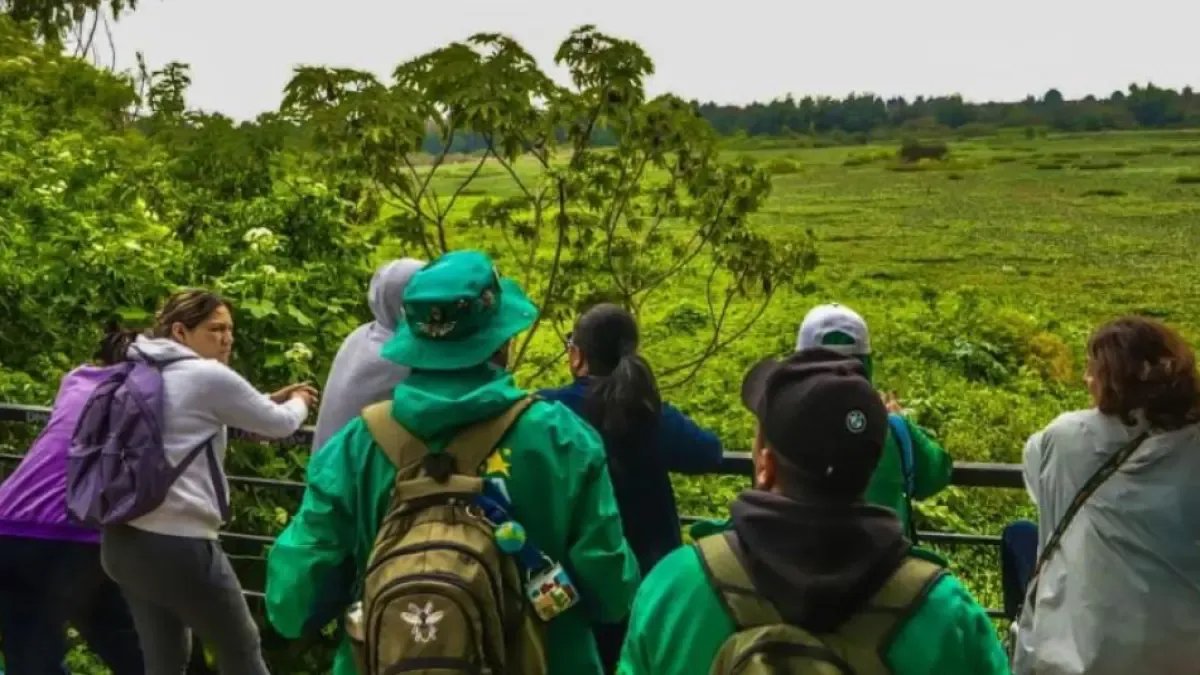 Plan de pecado? Aproveche Las Vacaciones de Mitad de Año 2025 Con Las Caminatas Ecológicas que OfRece Bogotá: PrográMese