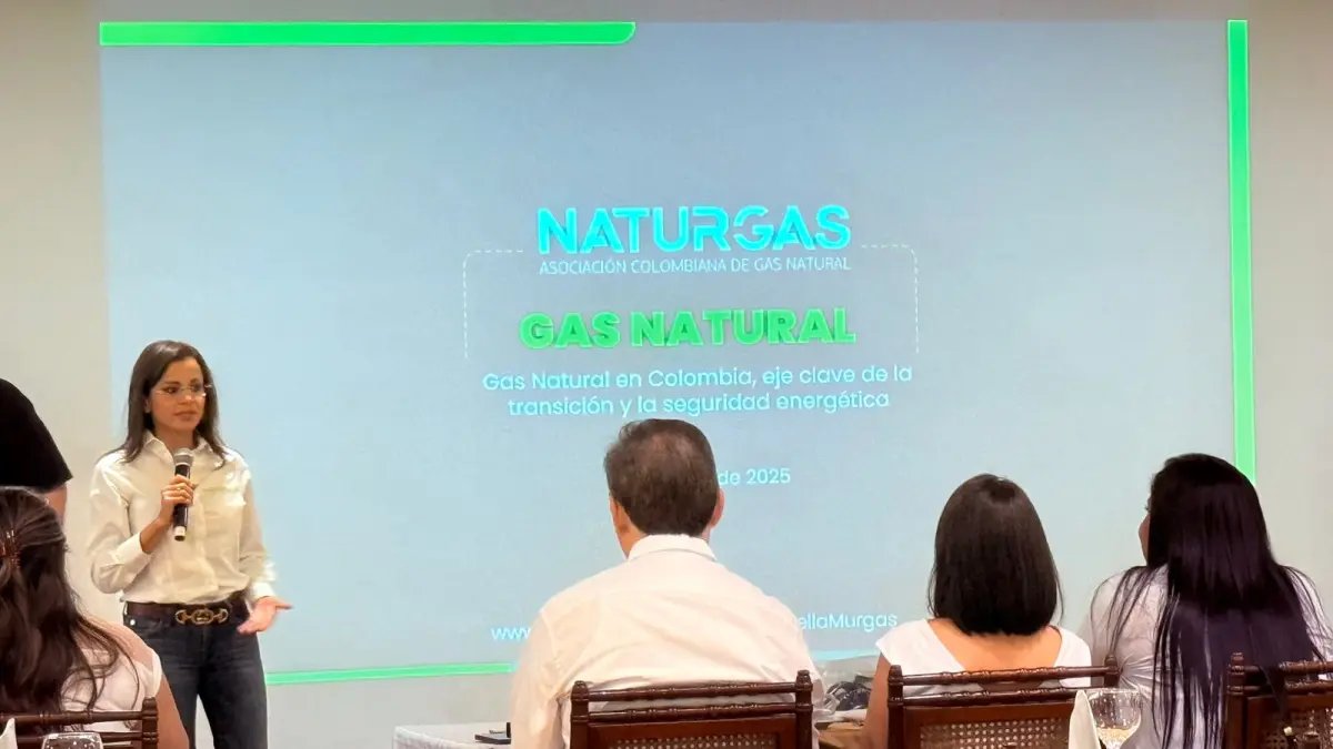 alertan Sobre la Necesidad de Acelerar Proyectos de Producció