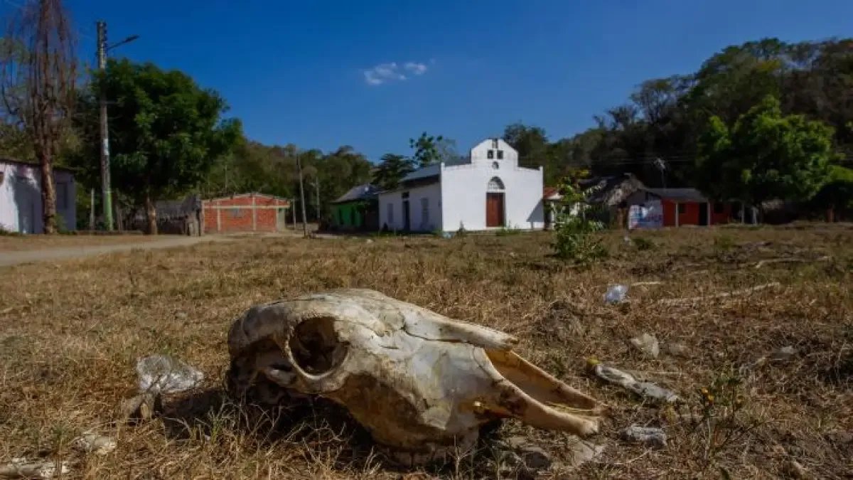 El Salado, en Vilo | 25 Años Sin Salud, Agua ni Vías: ¿Al Fin Llega la Esperanza para la Comunidad Olvidada?