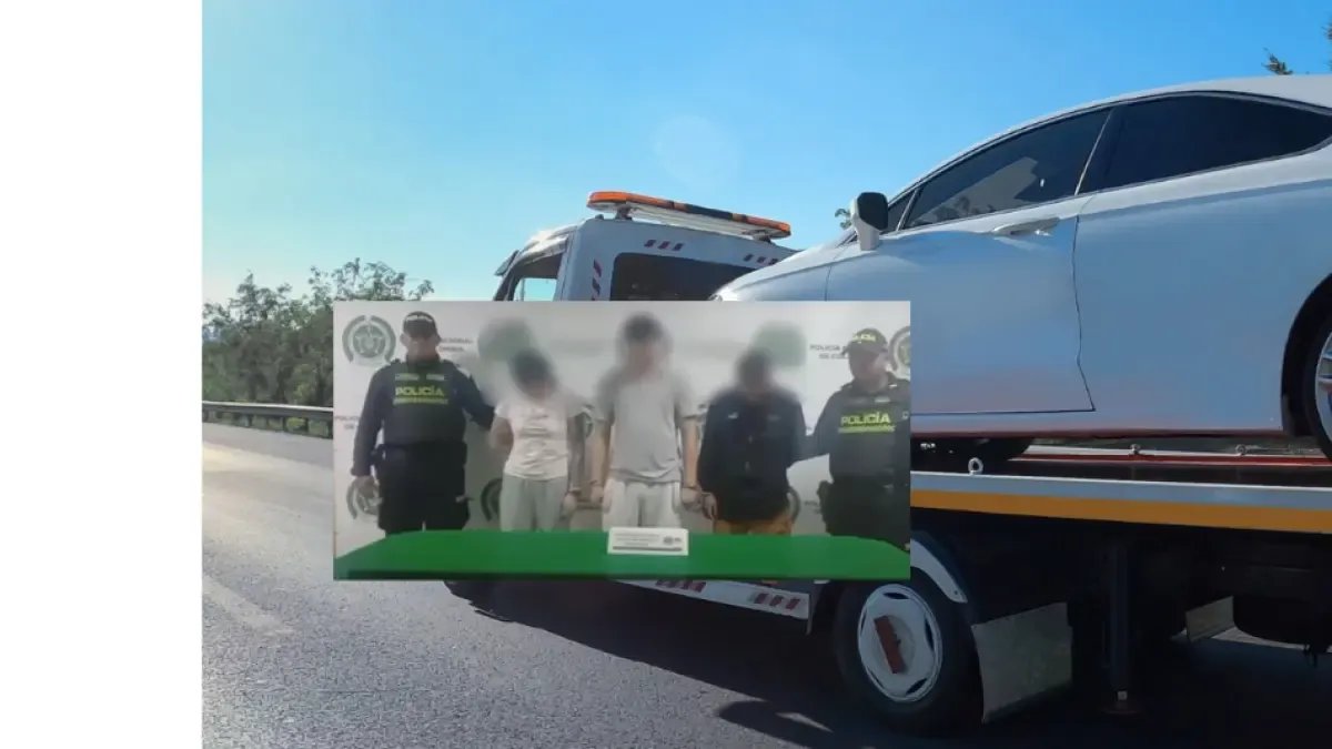 Así Fue El Curioso Cano en Bogotá