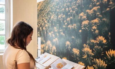 Diseño y Creatividad Toman Bogotá Con la Ruta de Diseño Circuito Centro: ¿Cuándo Será?