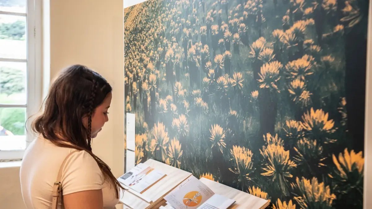 Diseño y Creatividad Toman Bogotá Con la Ruta de Diseño Circuito Centro: ¿Cuándo Será?