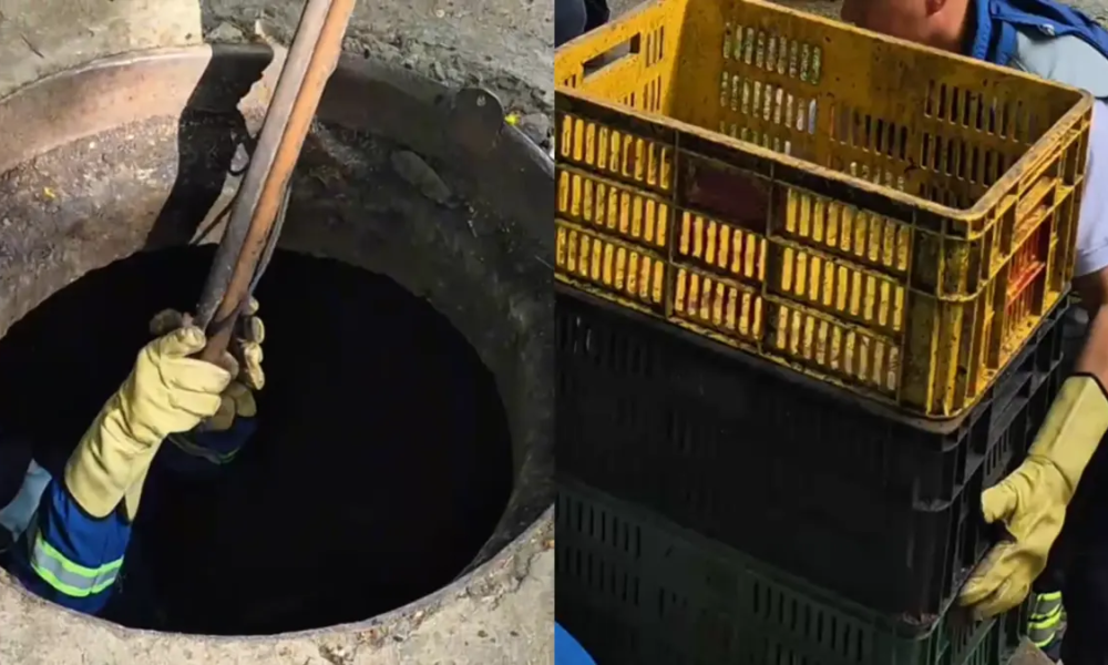 Desmantelaron Bodega Clandestina subterránea en la que Almacenaban Alimentos y Mercancía para Comerciar en Medellín