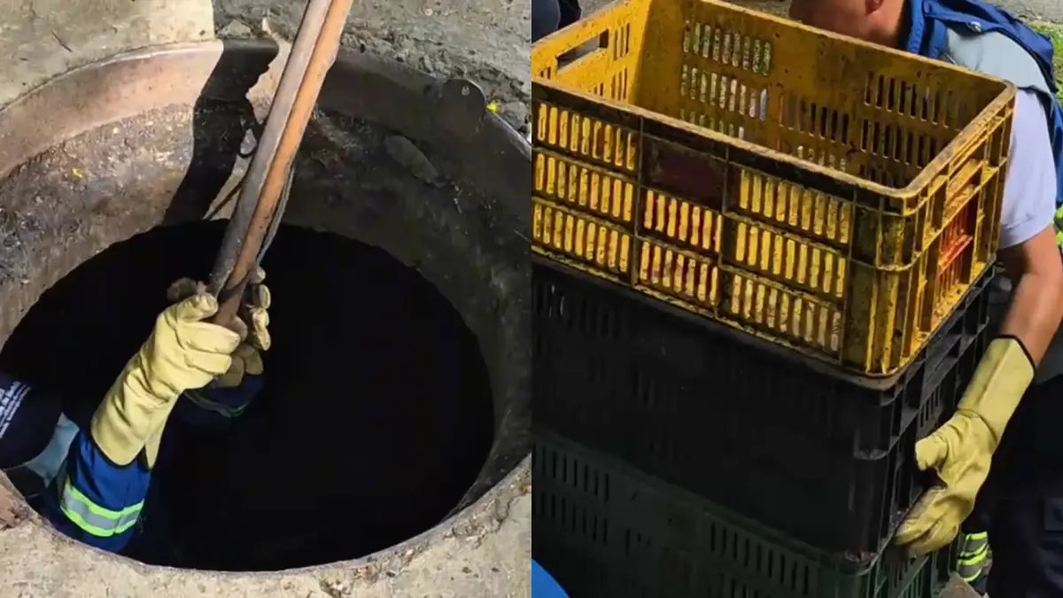 Desmantelaron Bodega Clandestina subterránea en la que Almacenaban Alimentos y Mercancía para Comerciar en Medellín
