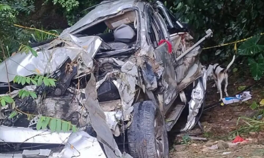 la emergencia vial dejó muertos y heridos