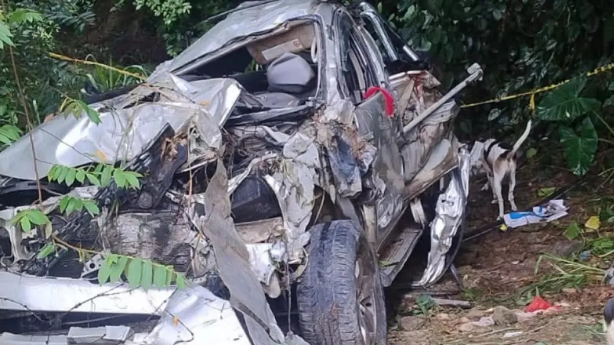 la emergencia vial dejó muertos y heridos