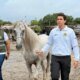 Alcaldía de Cartagena rescata Caballo Maltratado y Avanza en Acciones Legalles Contra Agresor Que Sigue Prófugo