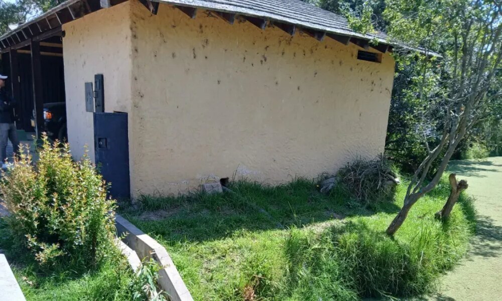 COT SUSPENDIÓ CAPTACTIONES ILEGALES DE AGUA EN FINCAS DE SOPÓ Y CHIA: AFECTABAN QUEBRADA Y HUMEDAL