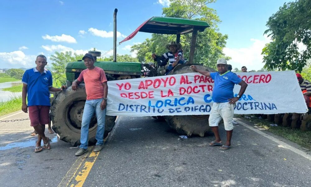 este de departamento tiene más de 23.000 hectáras Sembradas