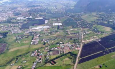 'LOS POT Quedan Subordinados al Presidente Petro', Dice Presidente de Probogotá, Carolina Castillo, Soluciones de Minagricultura y Minambiente