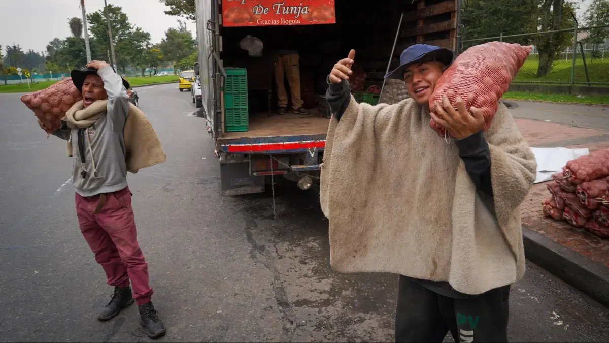 Igual que los Arroceros, Los Paperos Están Llevando del Bulto por Caída de Precios; Los de Cundinamarca, productor de El Primer, no SE Salvan de Crisis