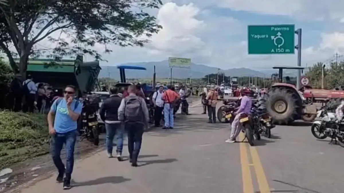 ¿Cuáles hijo Las Razones y El ImpactO de Esta Nueva Crisis?