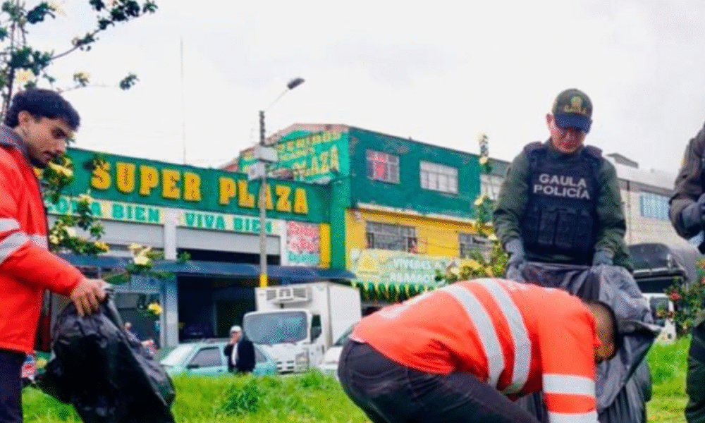 Los Puntos Donde Puede Llevar Esbros y Muebles