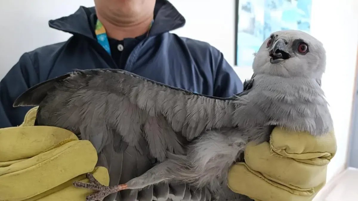 Habitantes la Hallaron Herida y Asustada