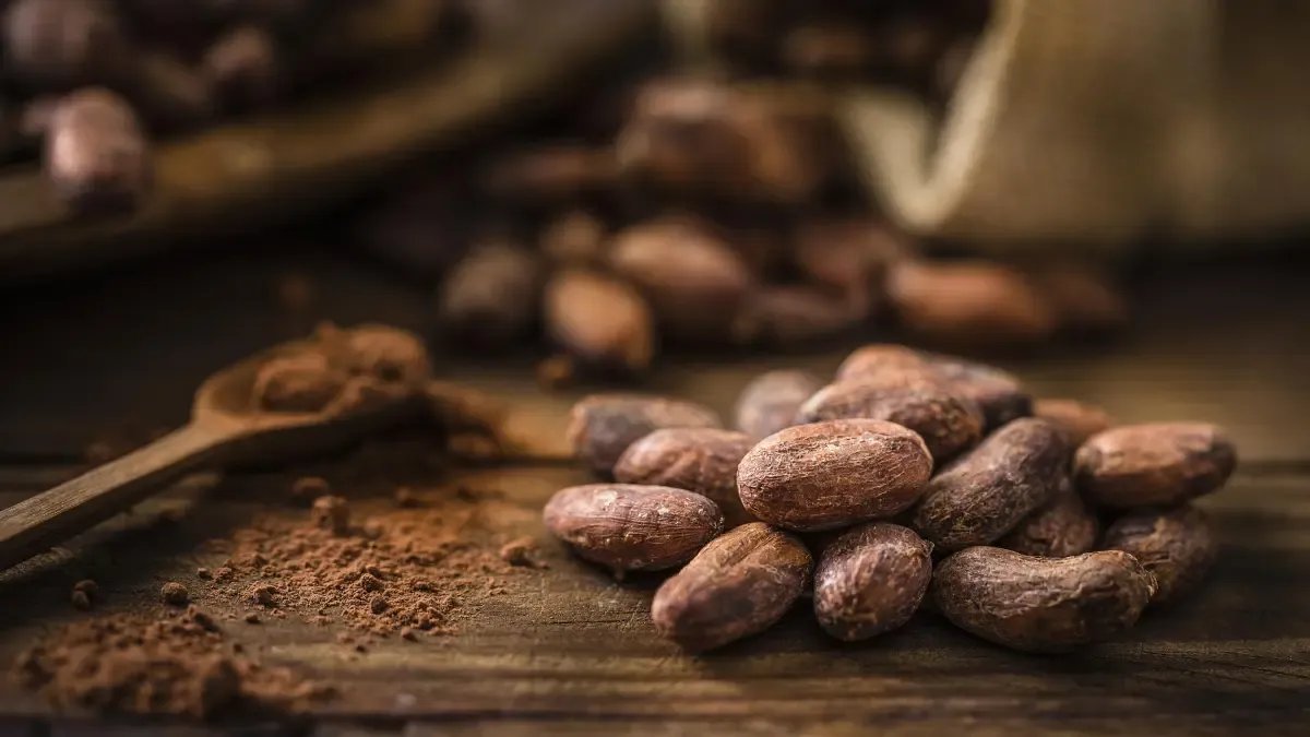 Gremio de Cacaoteros en Colombia Pide Diálogo Con Gobierno Nacional, de No Ser Escuchados, irí a Paro la Próxima Semana: ESTO Solicitan