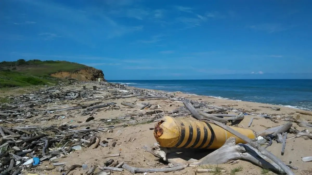 Descubren que la Madera a la Deriva Puede Ser Clave para Medir Contaminación Plásstica en Playas del Caribe