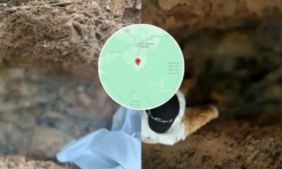 La IdentiDad de los Ocho Campesinos Asesinados y Obligados A Cavar Su Tumba