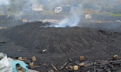 CAR IntervineS en Predio de Soacha Por Quemas Ilegales para Producir Carbón: Comunidad Denuncia Daño Ambiental