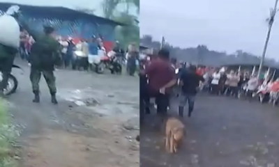 Con asonada Impidieron al Ejército la Captura de Peligroso Cabecilla de Las Disidencias de Las Farc en Tumaco