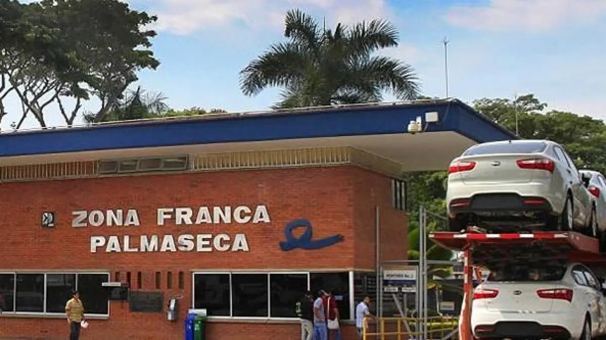 Zona franca palmaseca en valle