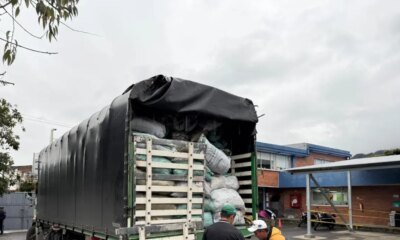 Autoridadas Decomisanas 69 Bultos de Carbón Vegetal Permiso en operativo Vial en Briceño, Cundinamarca