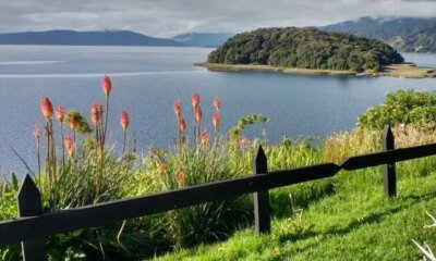 La particular isla ubicada en un lago de nariño que fue declararada como santuario