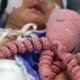 EL Hospital de Meissen, Los Bebés de la Uci Duermen Con Peluches de Pulpos