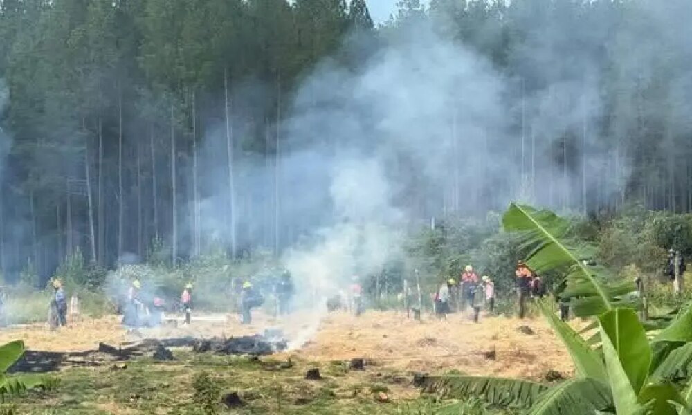 Violento desalojo y retenciones de tres operaciones de Caña
