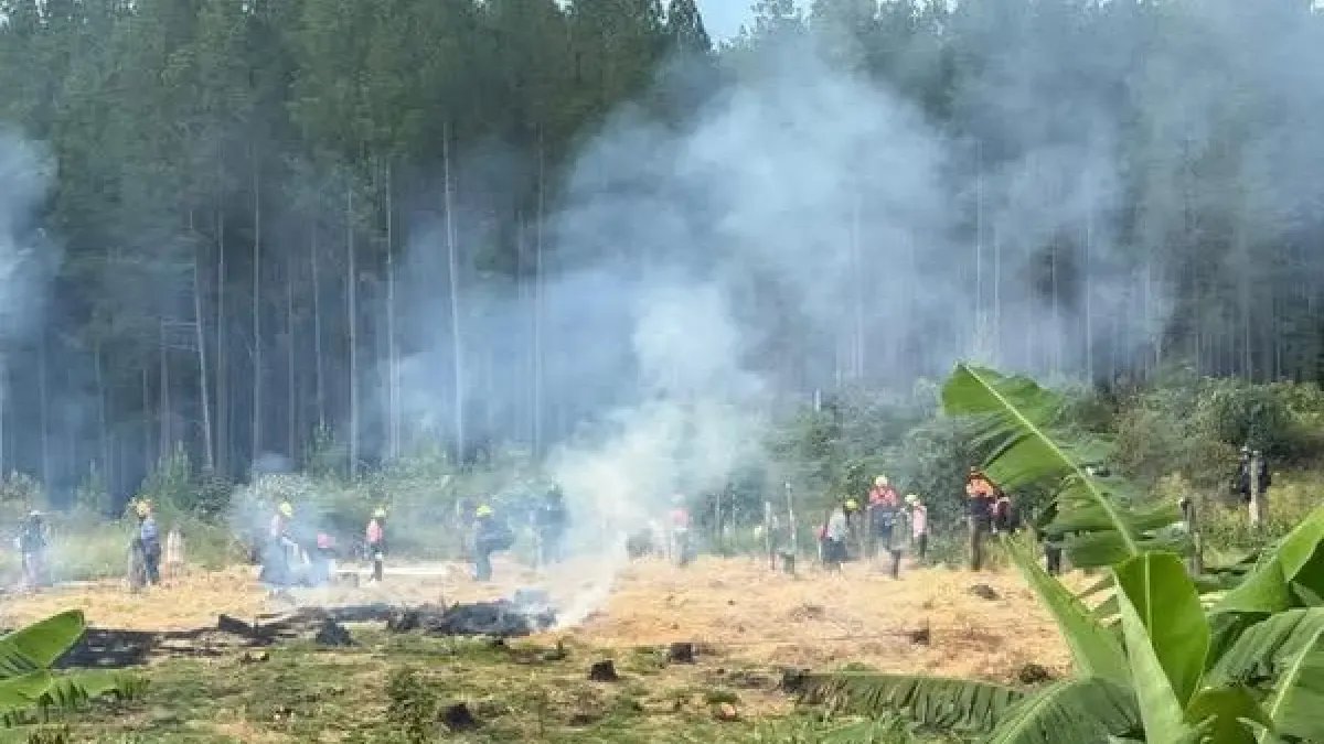 Violento desalojo y retenciones de tres operaciones de Caña