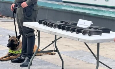 Caninos de Policía Hallan Provedores de Fusil en Terminal Terrestre de Bogotá; Iban Con Destino Al Valle del Cauca
