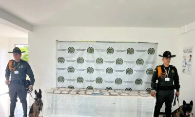 LOS POLICÍAS DE CUATRO PATAS QUE HICILO POSIBLE POSIBLE