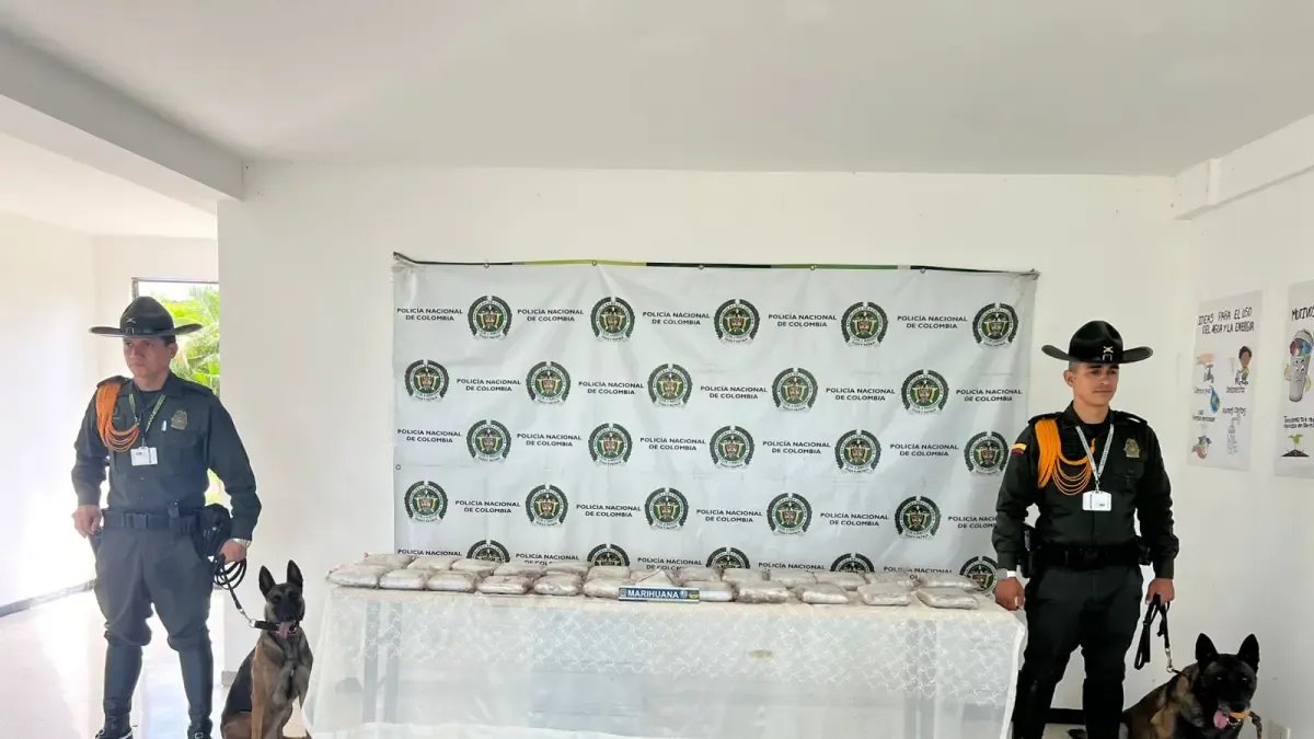 LOS POLICÍAS DE CUATRO PATAS QUE HICILO POSIBLE POSIBLE